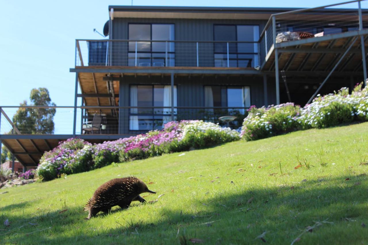 Storm Bay B&B Уайт Бич Экстерьер фото